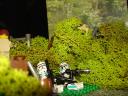 dsc01279.jpg