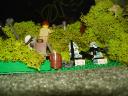 dsc01281.jpg