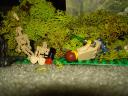 dsc01285.jpg