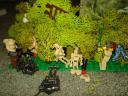 dsc01287.jpg