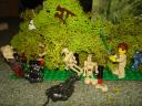 dsc01288.jpg