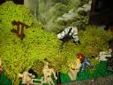 dsc01290.jpg