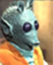 greedo.gif