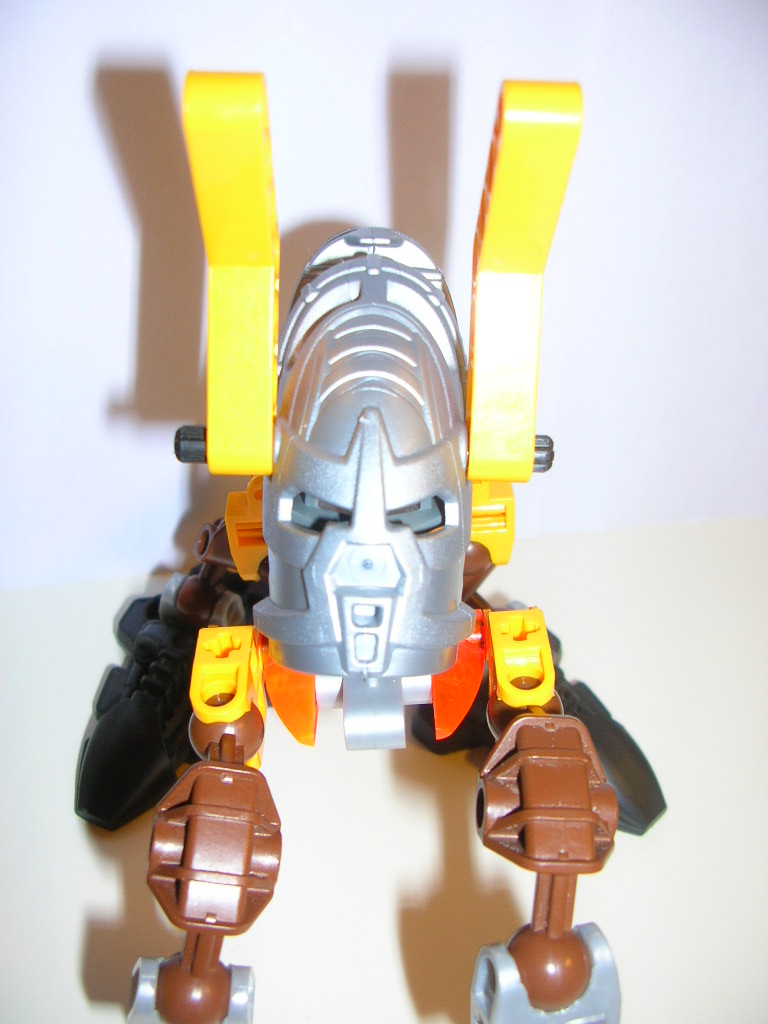 photo_bionicle_018.jpg