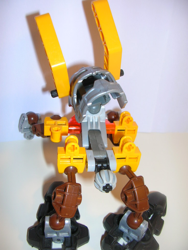 photo_bionicle_021.jpg