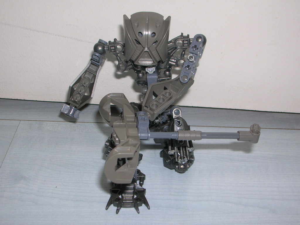 photos_bionicles008.jpg
