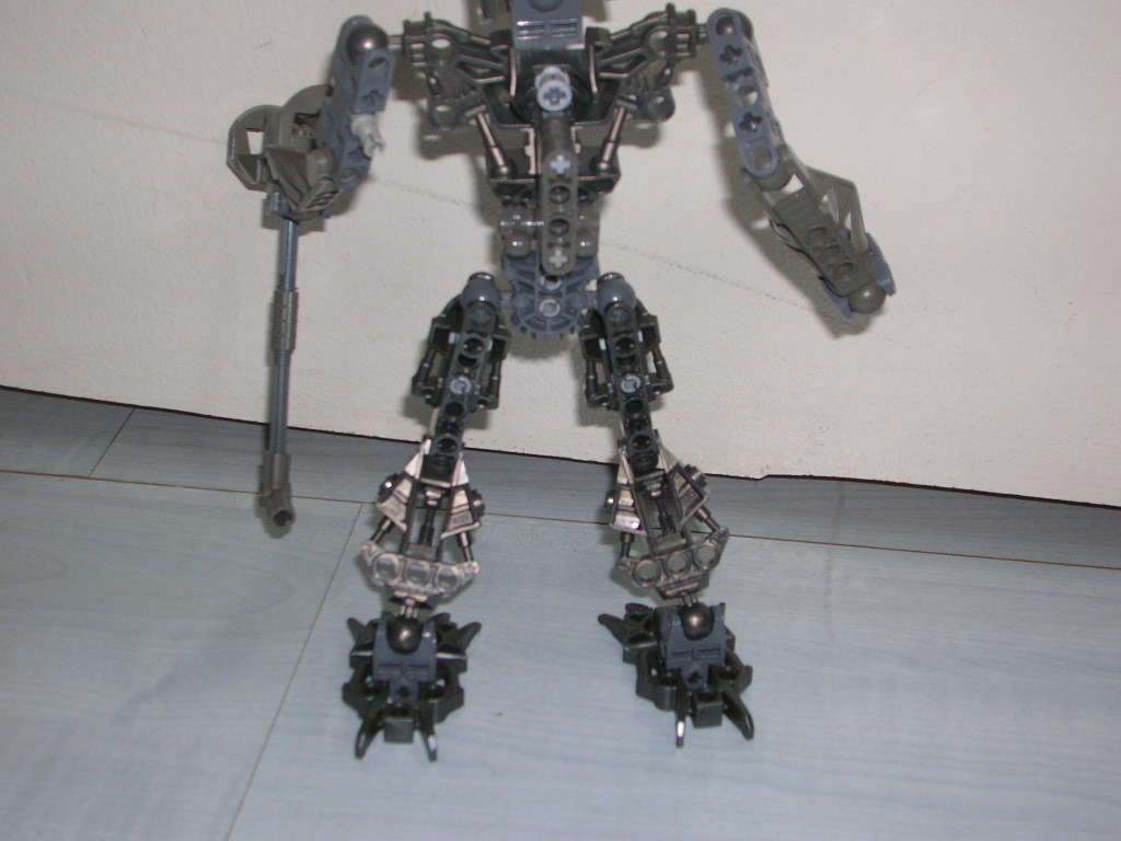 photos_bionicles010.jpg