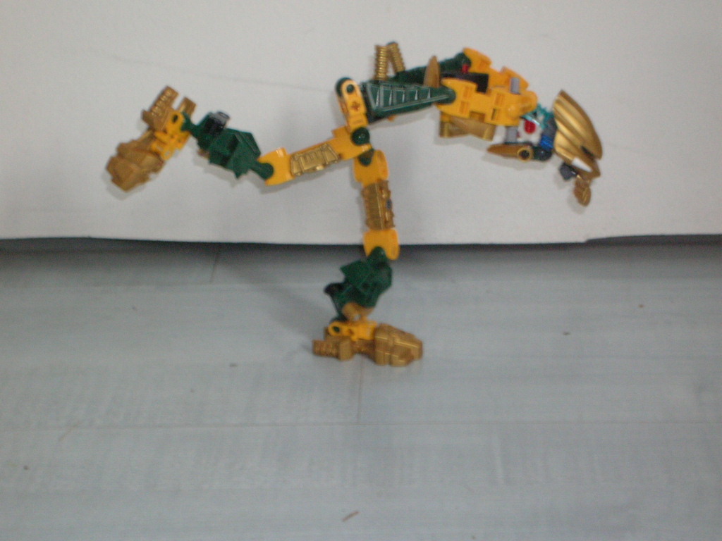photo_bionicle_015.jpg
