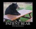 patient-bear.jpg