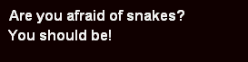 snakebanner.gif