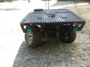 boxer_8x8_11.jpg