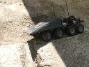 boxer_8x8_13.jpg