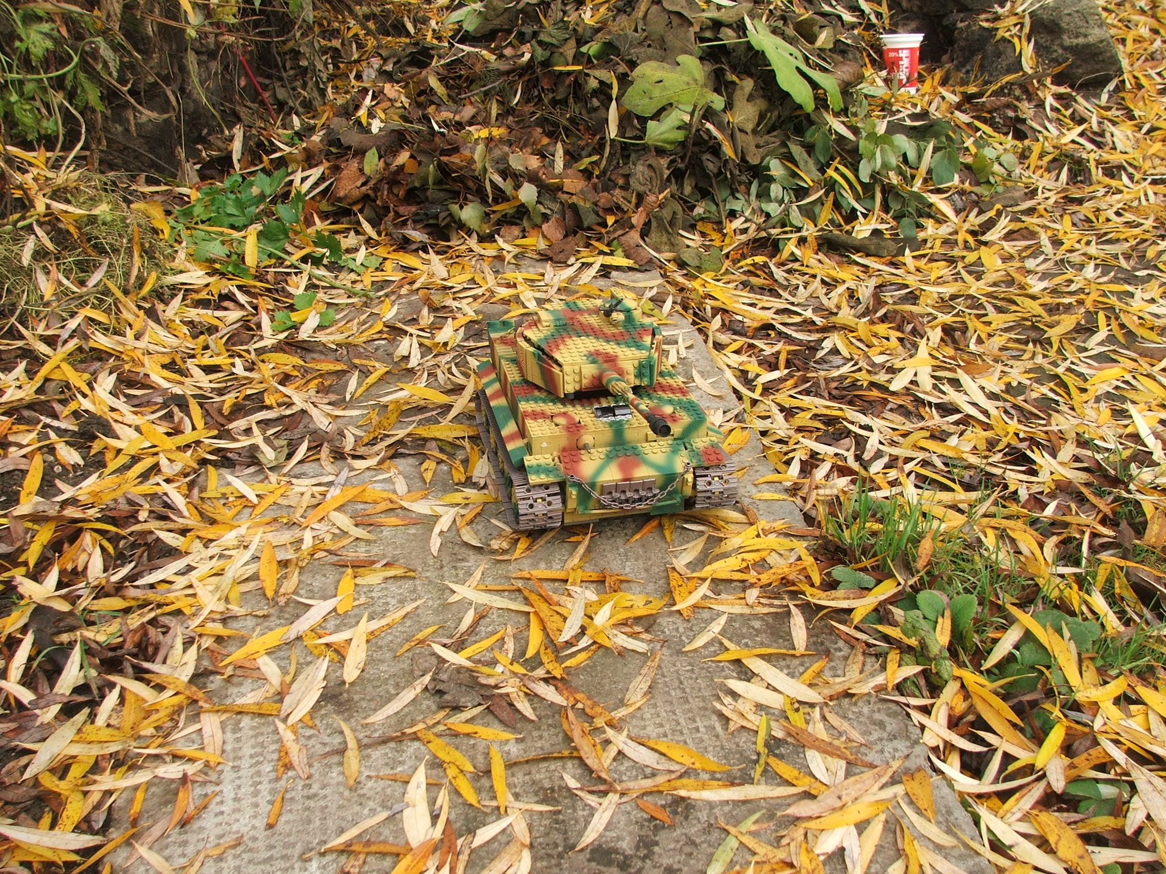 dscf4902.jpg