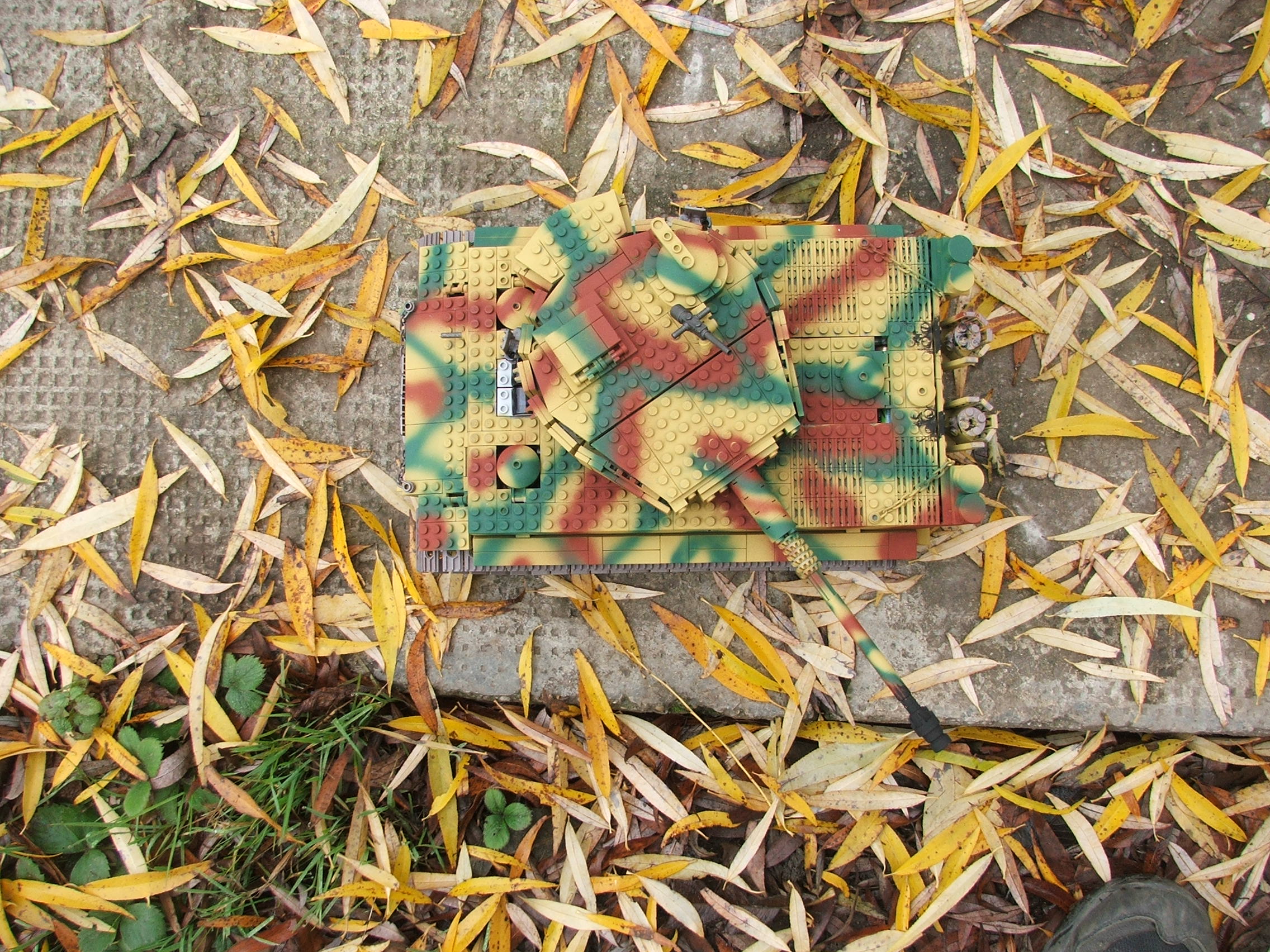 dscf4919.jpg