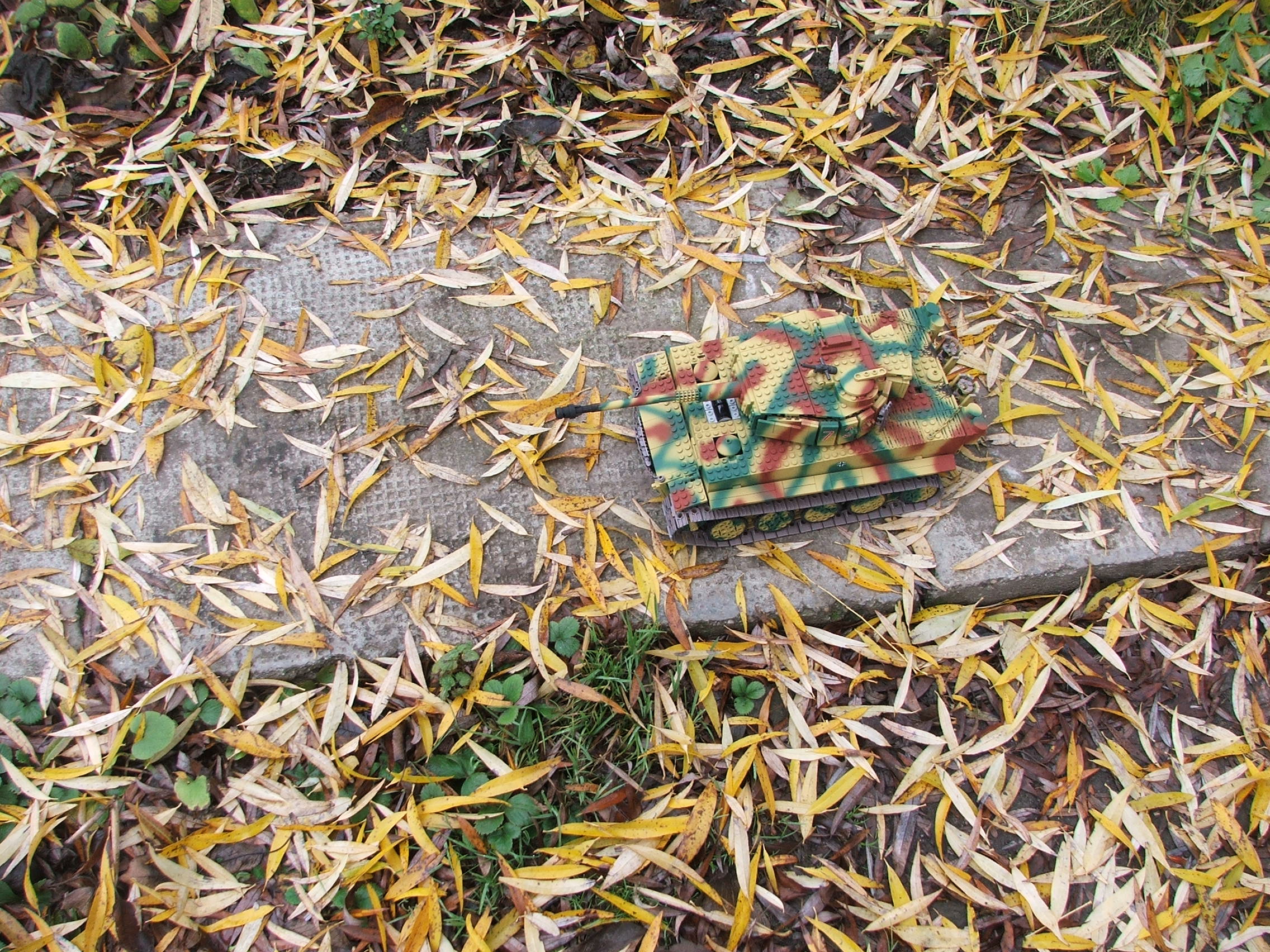 dscf4932.jpg