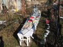 Scharnhorst