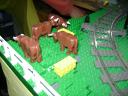 dsc05471.jpg
