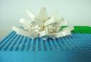 waterlily-03.jpg