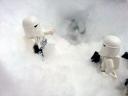 star_wars_snow_03.jpg