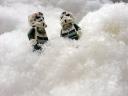 star_wars_snow_07.jpg