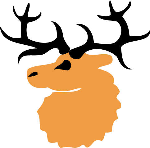 forest.png