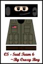 seal_team_6.jpg
