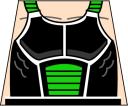 bardock_torso.jpg