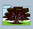 0f.png