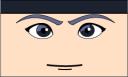 fe1.png