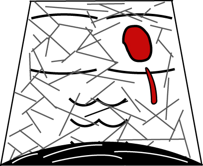 sion_torso.jpg