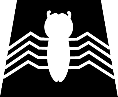black_spidey_torso.jpg