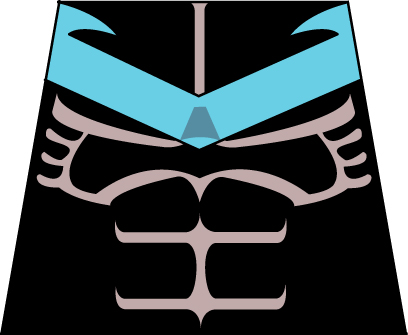 nightwingt.jpg
