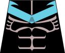 nightwingt.jpg