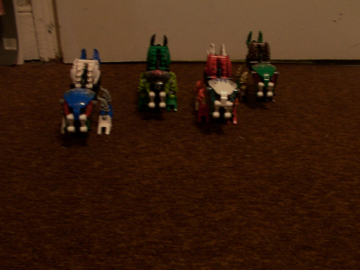 dcp_0045.gif