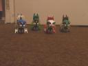 dcp_0047.gif