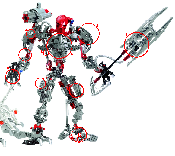 maxilos.png