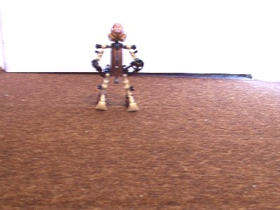 dcp_0013.jpg