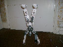 handstand_thum.jpg
