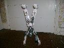 handstand_thum.jpg