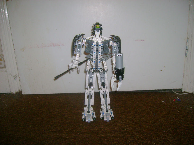 back.jpg