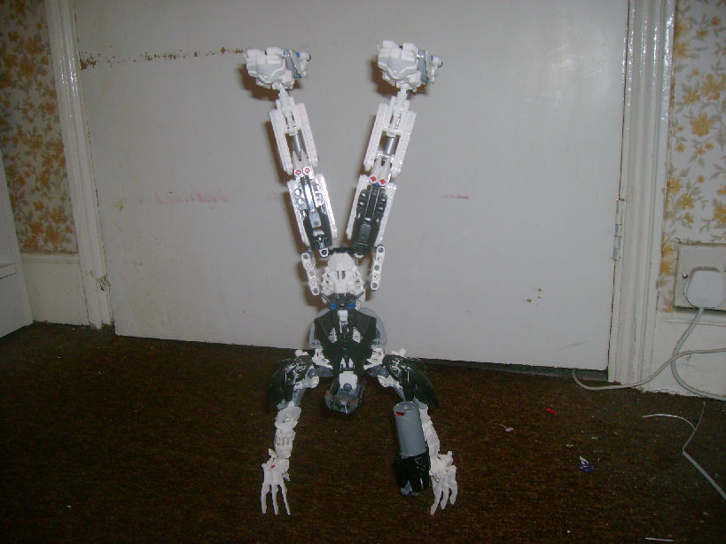handstand.jpg