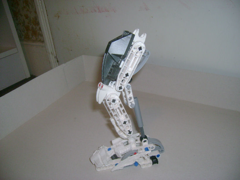 leg.jpg