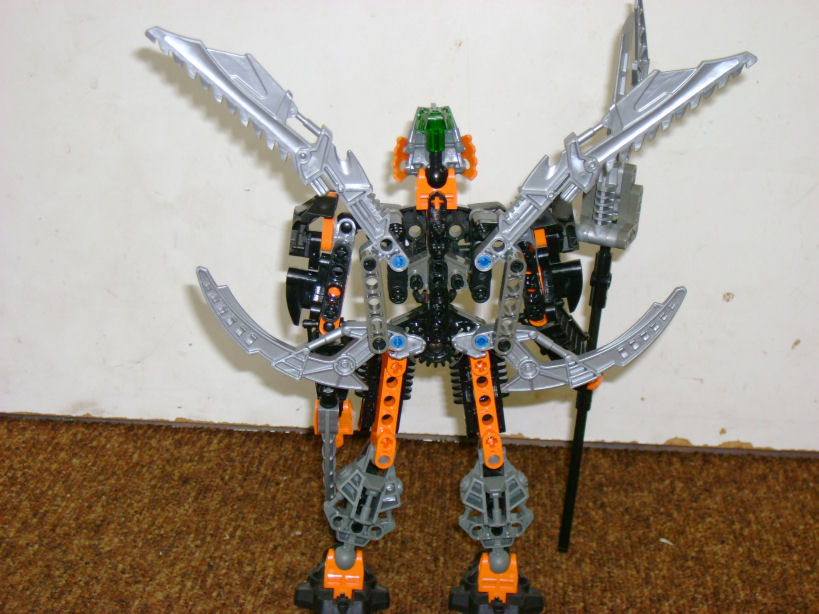theras_-_back_-_wings_up.jpg