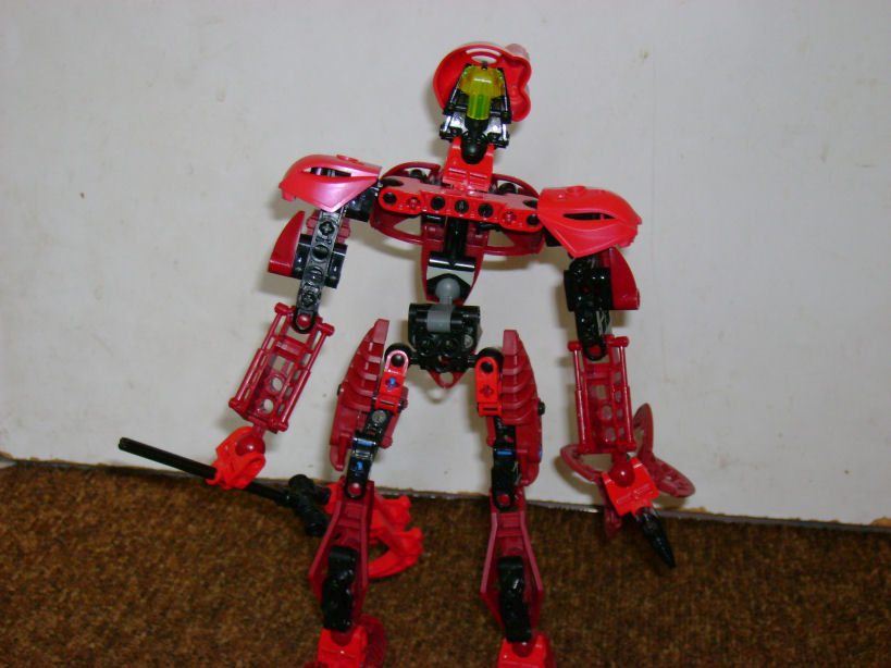 virsina_-_back.jpg