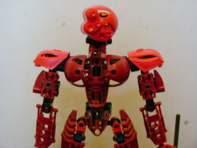 virsina_-_torso.jpg