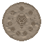 coin_redone.png
