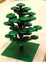radar_tree.jpg