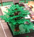 tree2.jpg