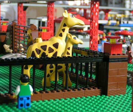 giraffeswatchingtrain.jpg