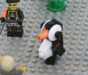 penguinwalkingaround.jpg